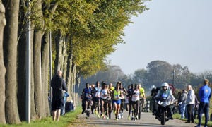 Is het gezond om je kiwi mét schil en al te eten