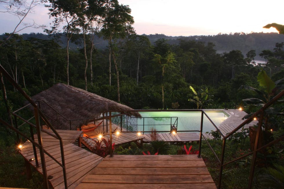 Hamadryade Lodge, Ecuador