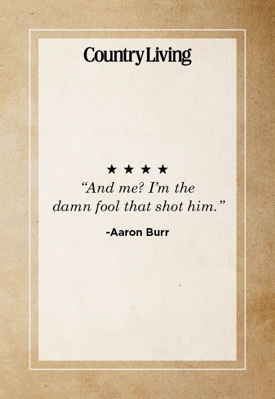 Aaron burr fun online facts