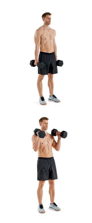 Weights, Exercise equipment, Shoulder, Dumbbell, Standing, Arm, Joint, Barbell, Muscle, Sports equipment, 