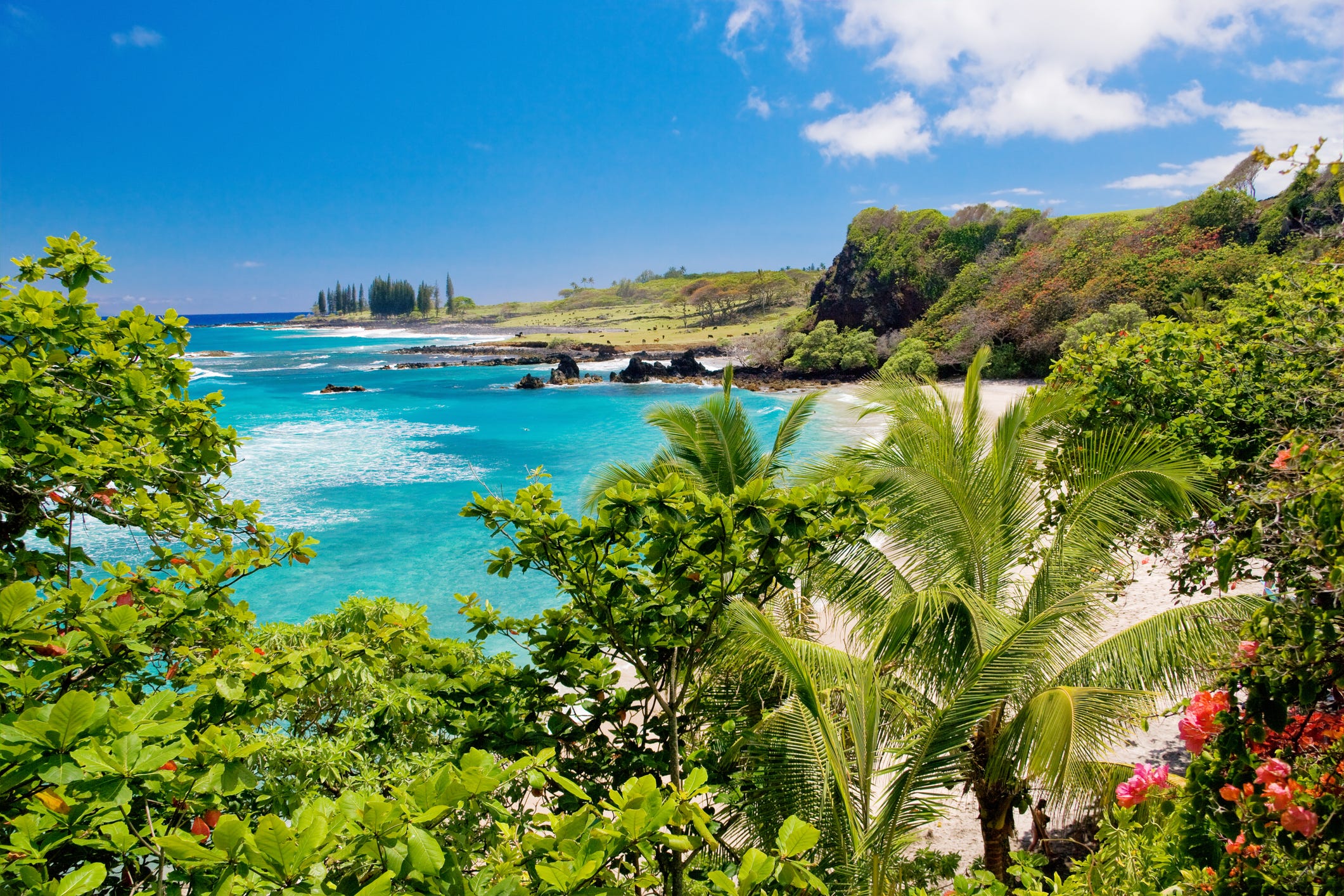 18 of the Best Beaches in Hawaii to Visit in Your Lifetime