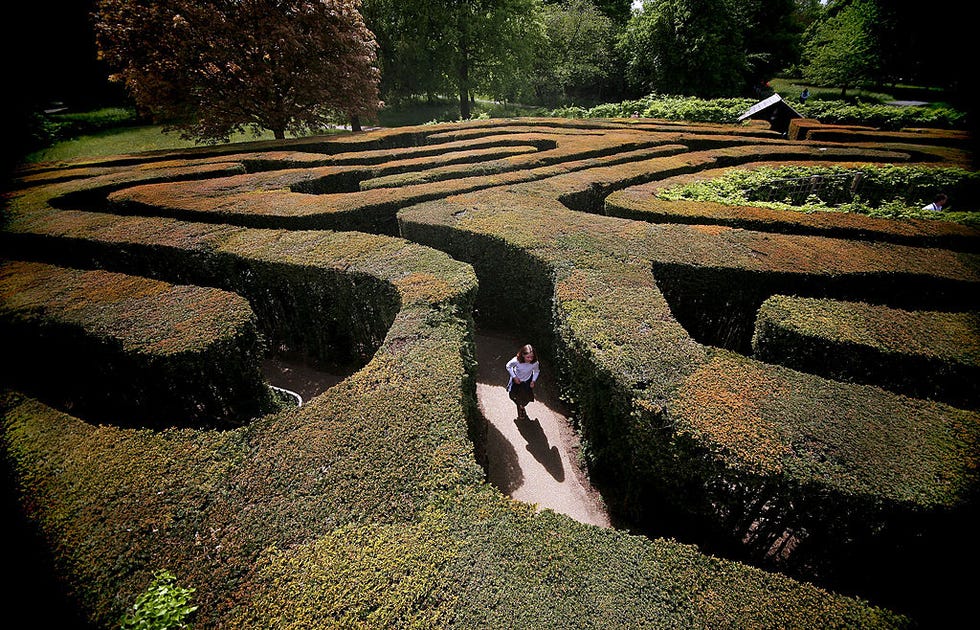 Love Mazes Like King Charles? Here Are 8 To Visit In The UK