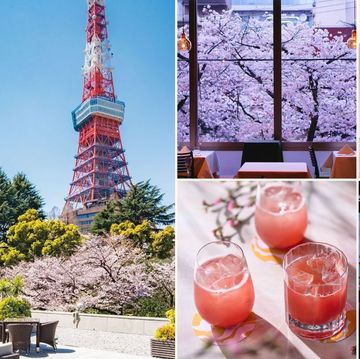 東京近郊の桜が見えるレストラン14選。心華やぐお花見ランチ＆ディナーをチェック！【2024年】