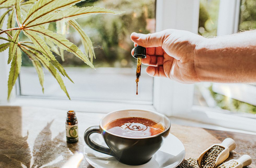 hand dropping cbd oil into a cup of tea, surrounded by cannabis plants