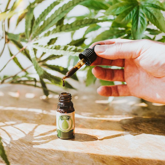 hand holding a cbd oil dropper beside bottle, surrounded by cannabis plants
