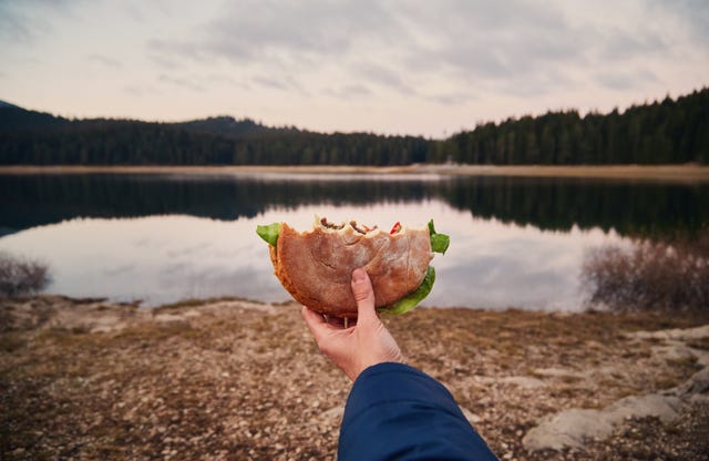hand holding half eaten burger with mountain lake in background