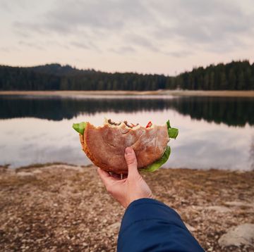 hand holding half eaten burger with mountain lake in background