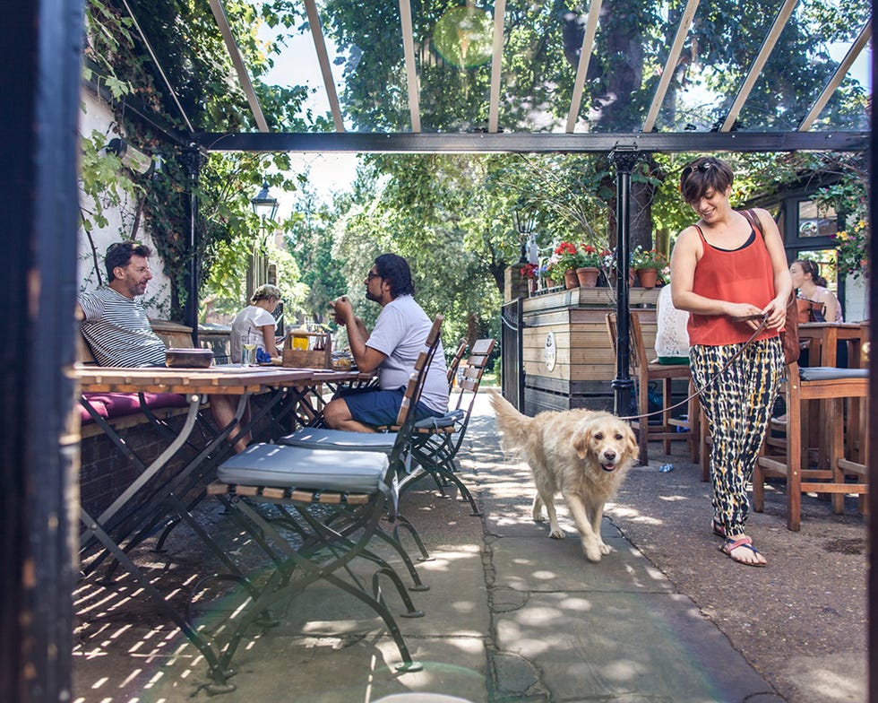 Best dog friendly pubs