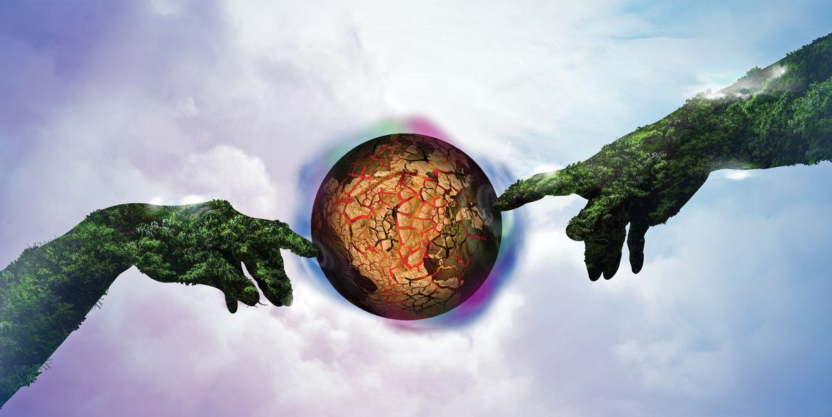 One Single Ancestor Gave Rise to All Life on Earth. Even You.