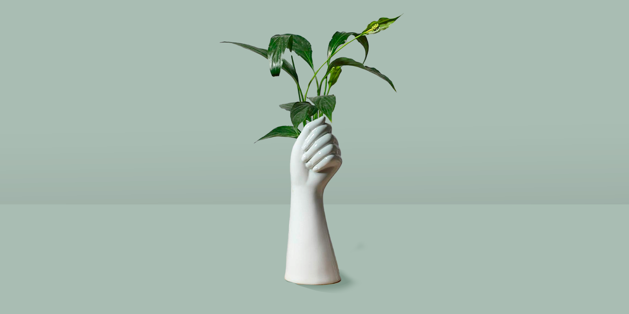 hand plant vase