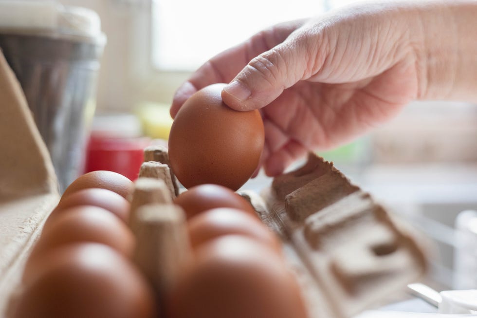 hand-picked egg in an egg carton