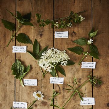 flowers on wooden table with labels