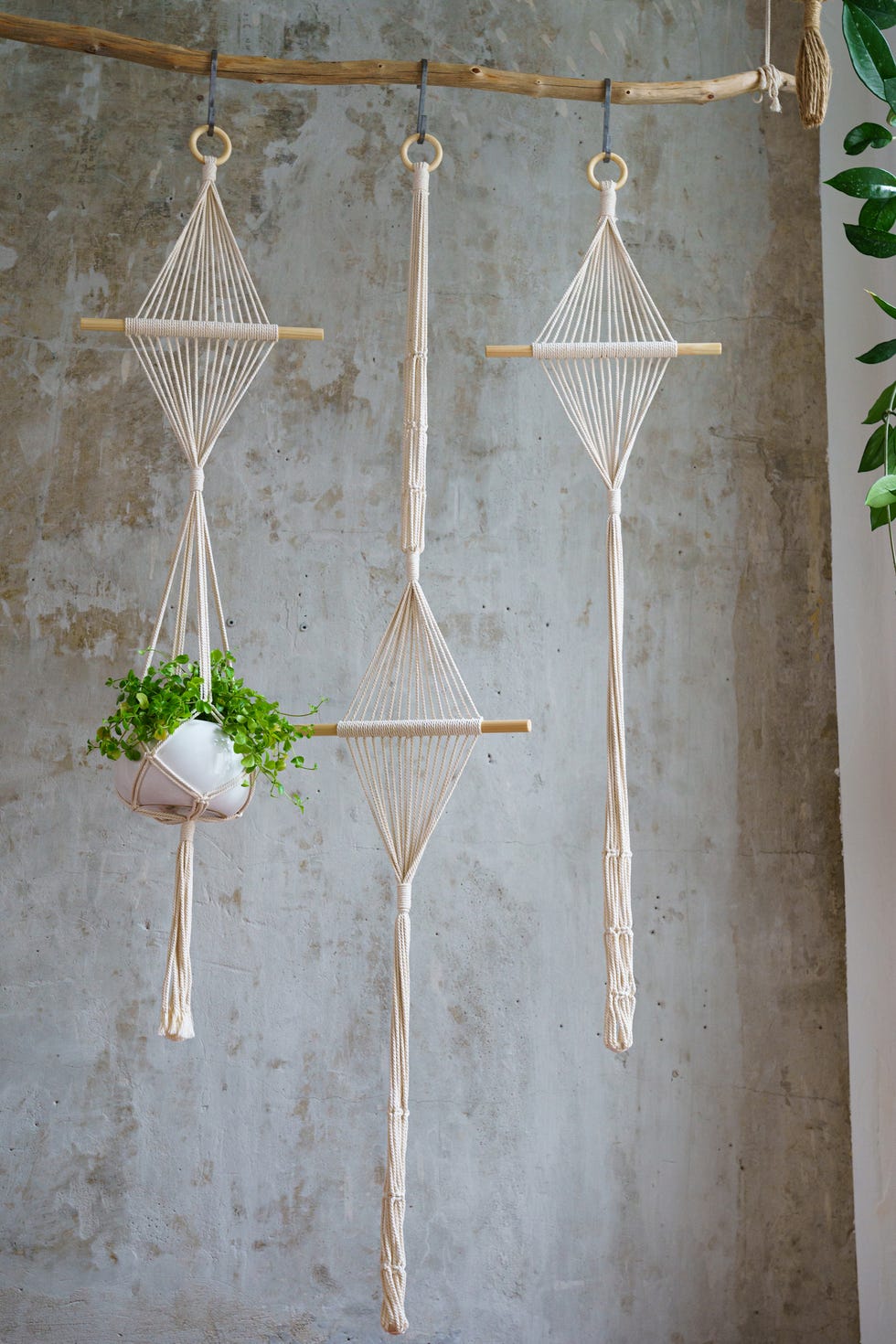 room divider ideas with macrame plant hangers