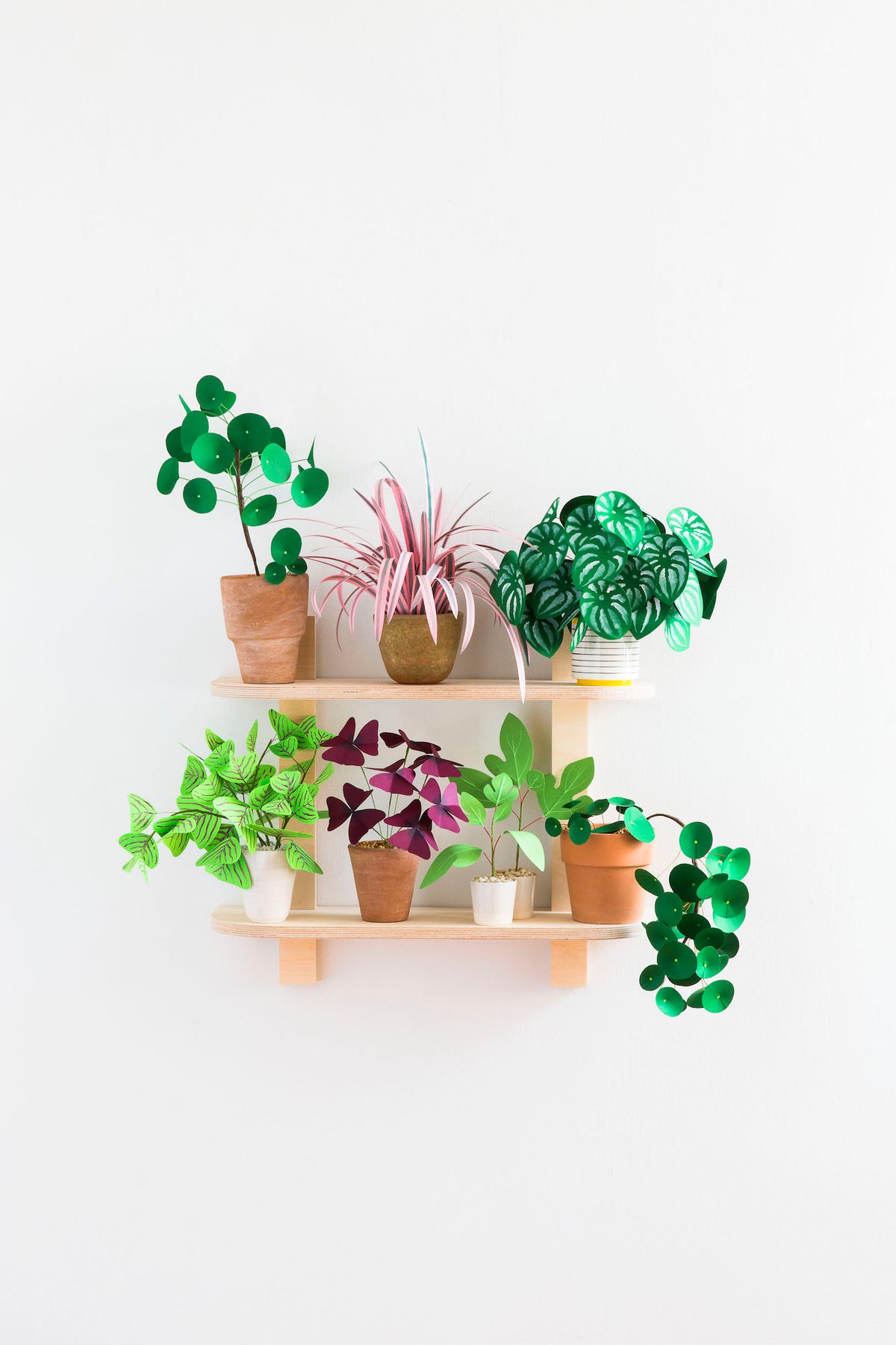 The Handmade Houseplants Book Will Help You Make Plant Art