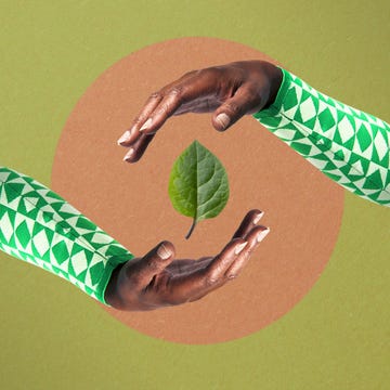 Best Eco Friendly Products in 2022 best eco friendly products in 2022