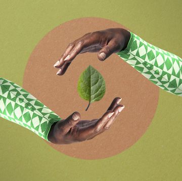 hands surrounding leaf
