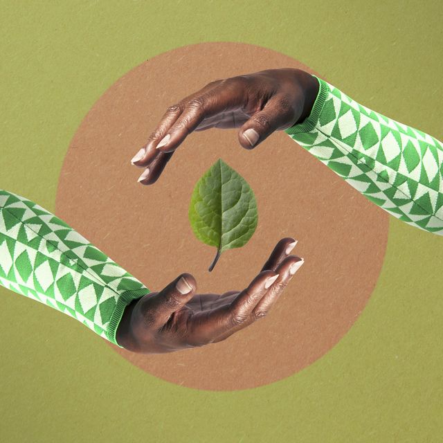 hands surrounding leaf