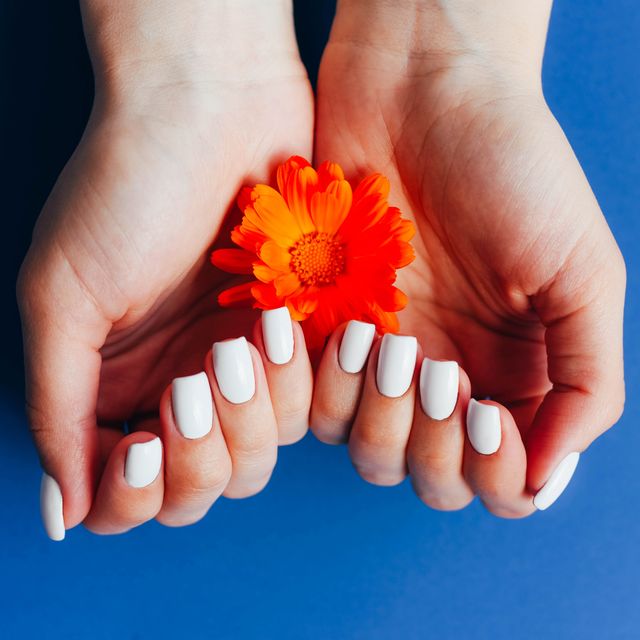 hands with white manicure on a blue background with orange flowers