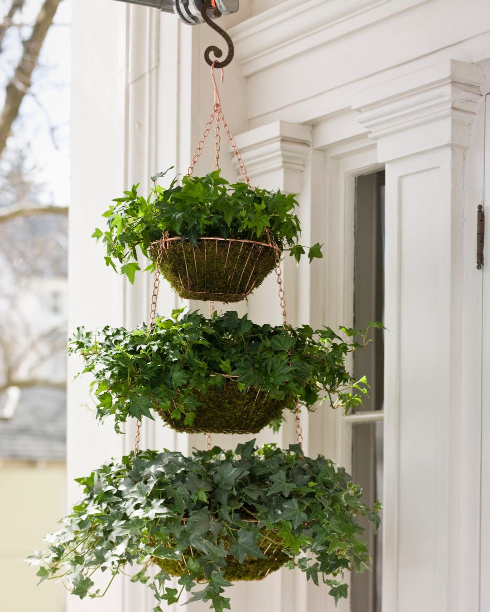 container gardening ideas