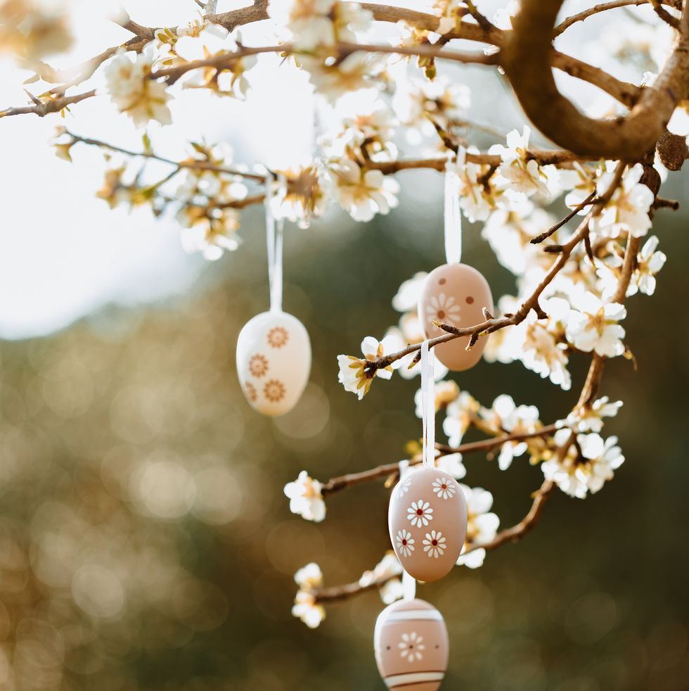 easter eggs hanging from branches