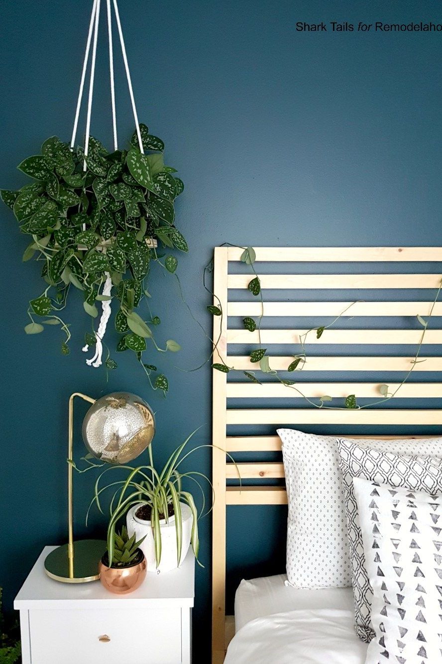 https://hips.hearstapps.com/hmg-prod/images/hanging-planters-wood-rope-1582655041.jpeg?crop=0.8893333333333334xw:1xh;center,top&resize=980:*