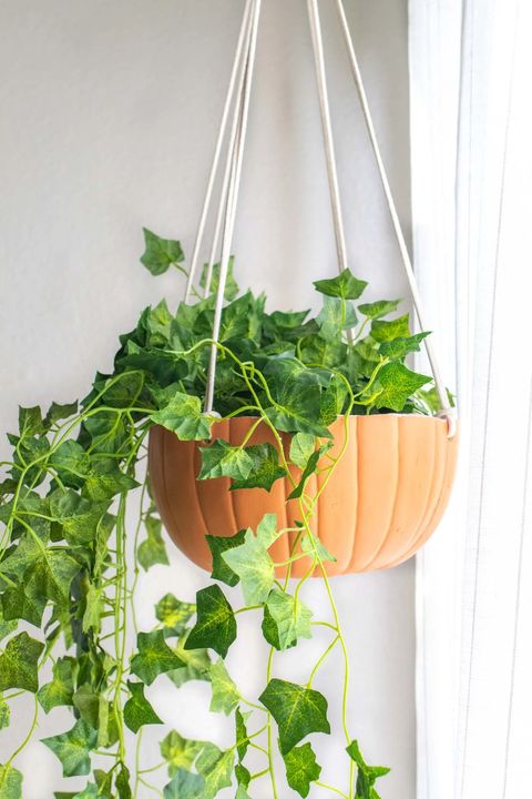 hanging pumpkin planter diy fall decor