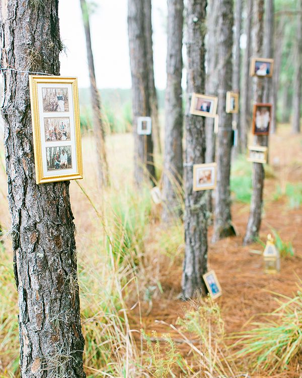 hanging tree family photos camping weddings