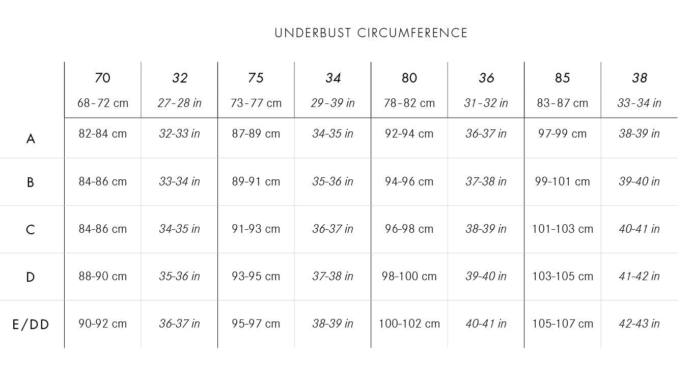 bra cup size chart