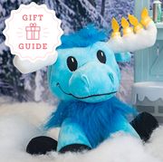 the miracle of mitzvah moose