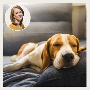 how to stop feeling tired the happiness project gretchen rubin