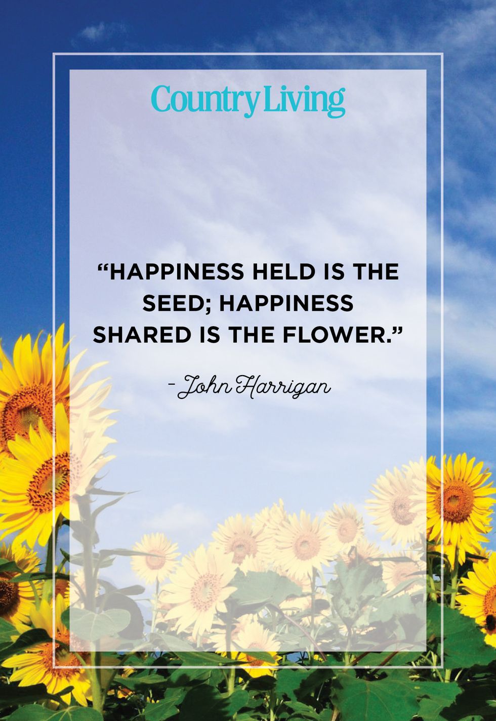 happiness quote by john harrigan