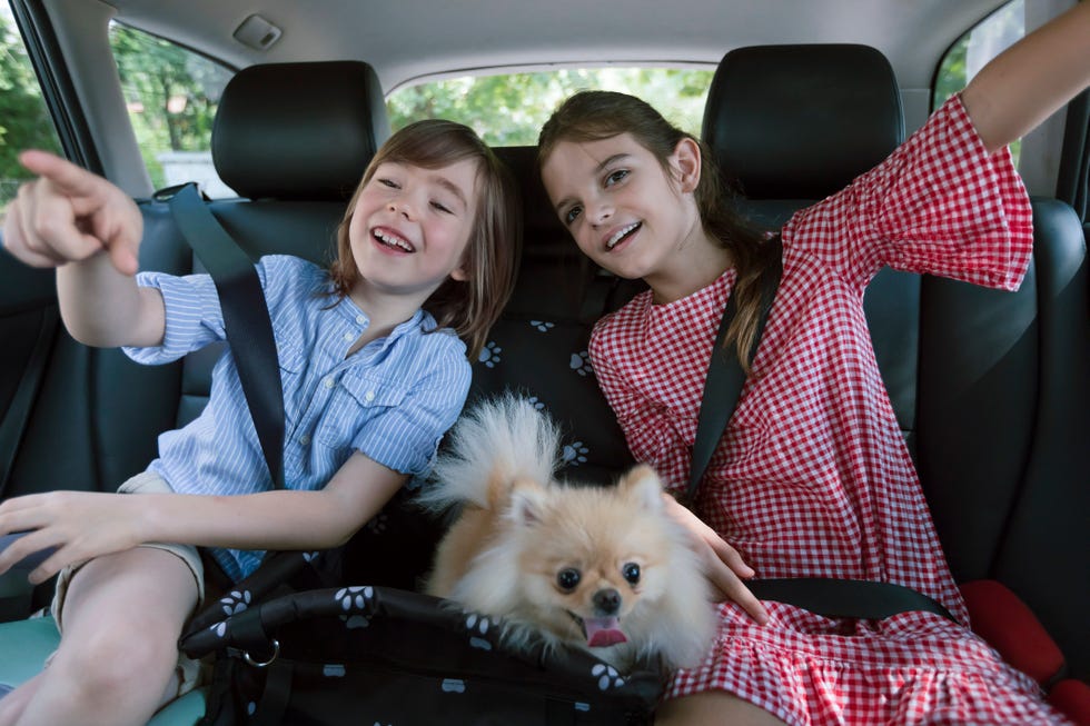 happy children having fun while traveling by car