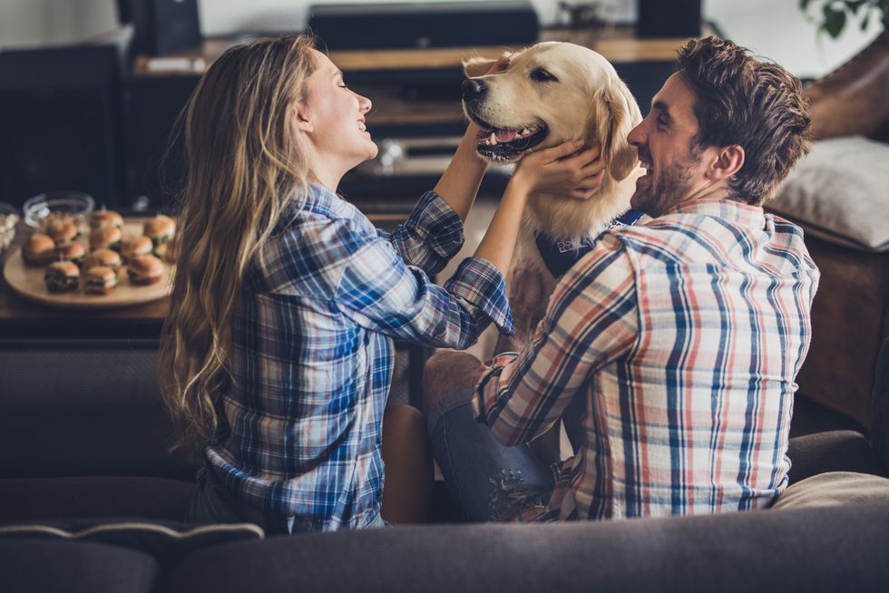 happy couple enjoying with their golden retriever in the living room