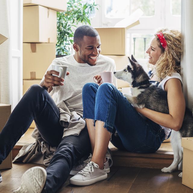 Happy couple playing with dog while sitting at doorway in new house