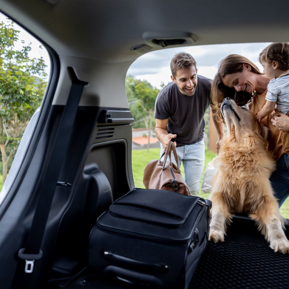 happy family loading bags in the car and going on a road trip