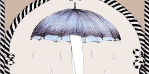 Illustration, Mushroom, Umbrella, 