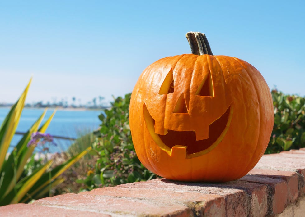 Happy Halloween pumpkin summer background