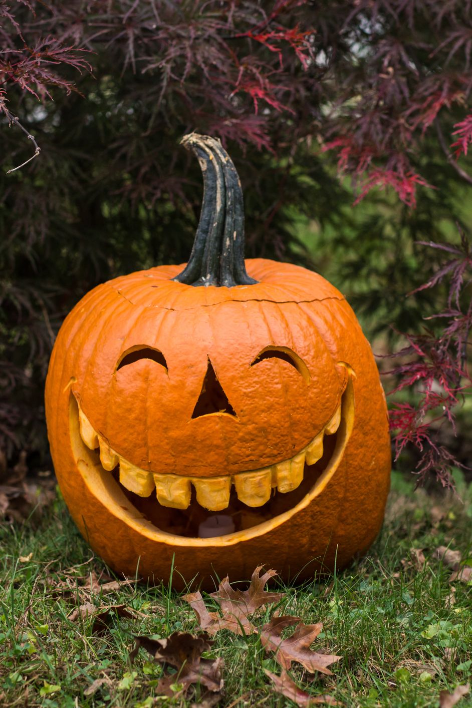 Pumpkin face scary smile orange red Halloween Digital Art by
