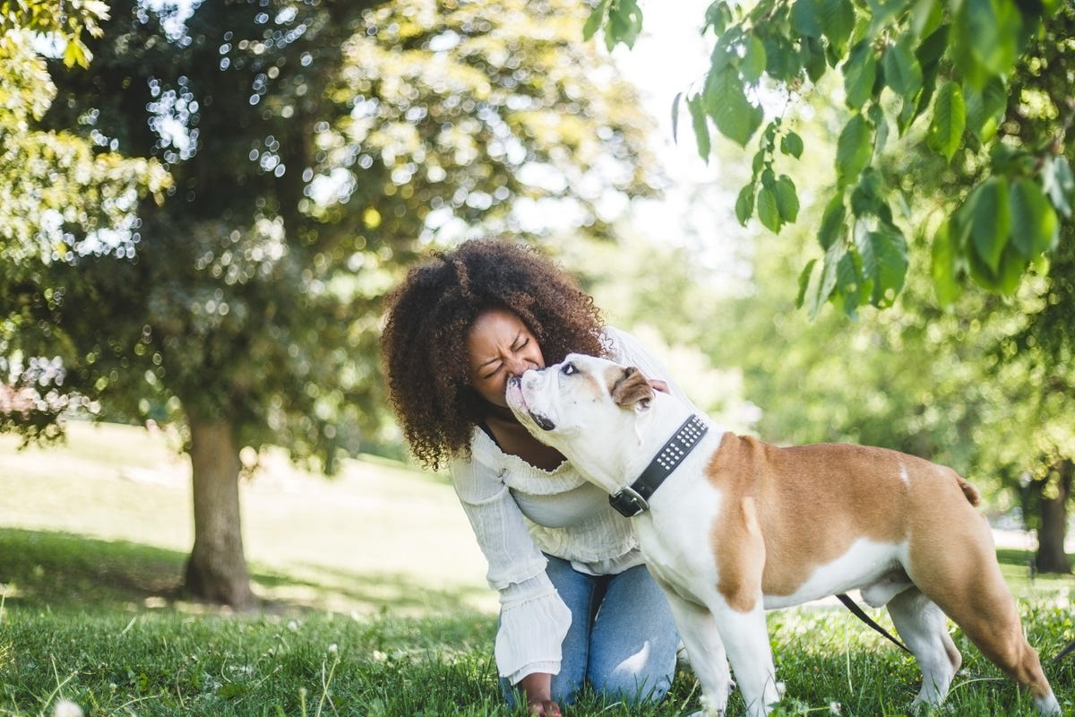 Het helpt echt om met een kinderstemmetje tegen je hond te praten