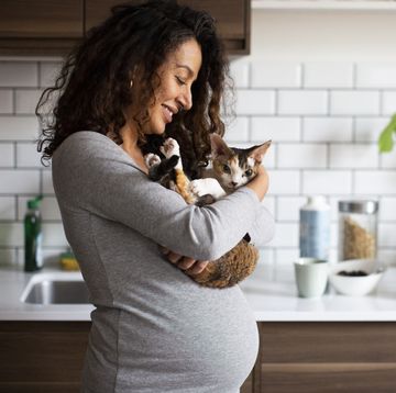 happy pregnant woman carrying cat in kitchen