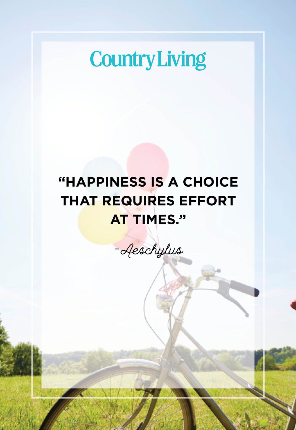 50 Best Happiness Quotes to Brighten Your Day