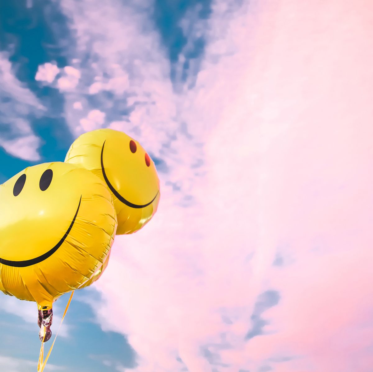The Power of Happiness: What Makes You happy?