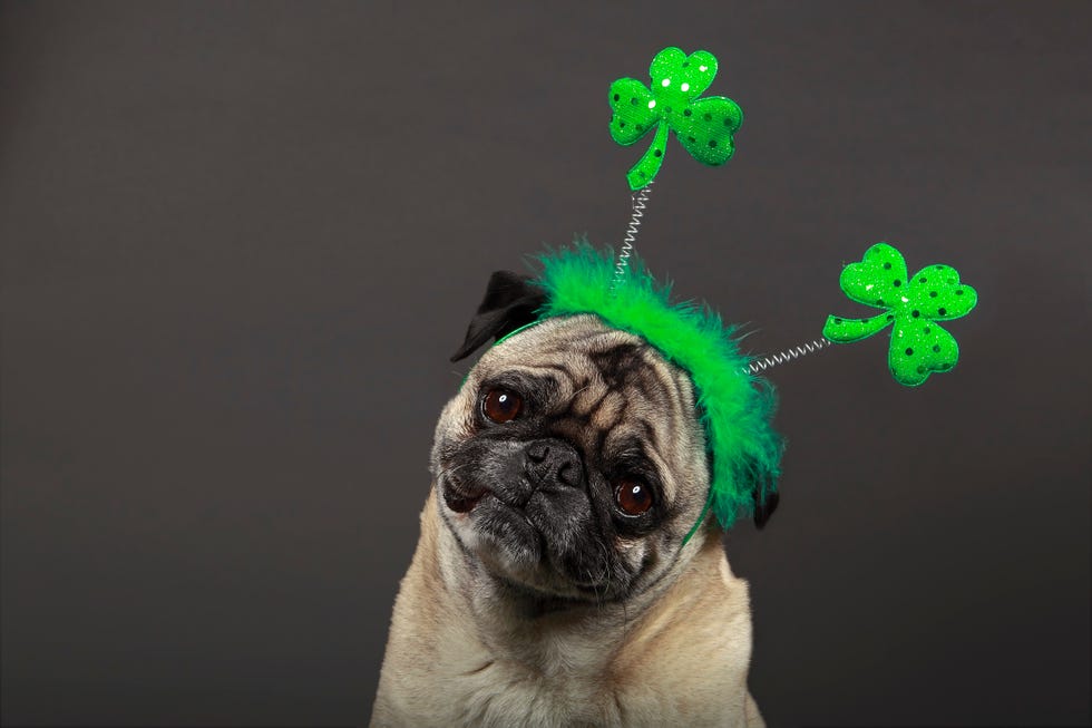 march 2023 holidays and observances st patrick's day