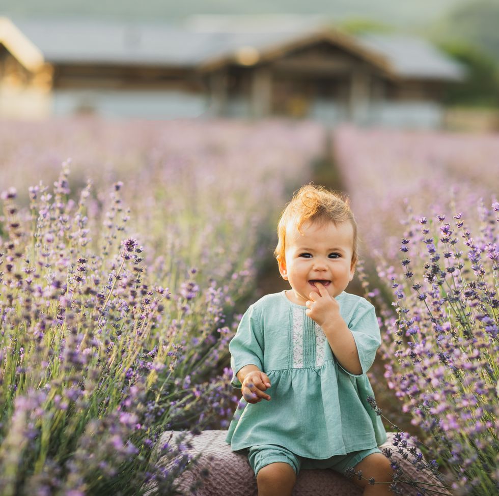 happy toddler baby girl in linen dress in lavender field