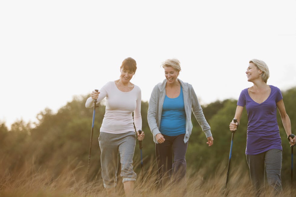 hiking poles