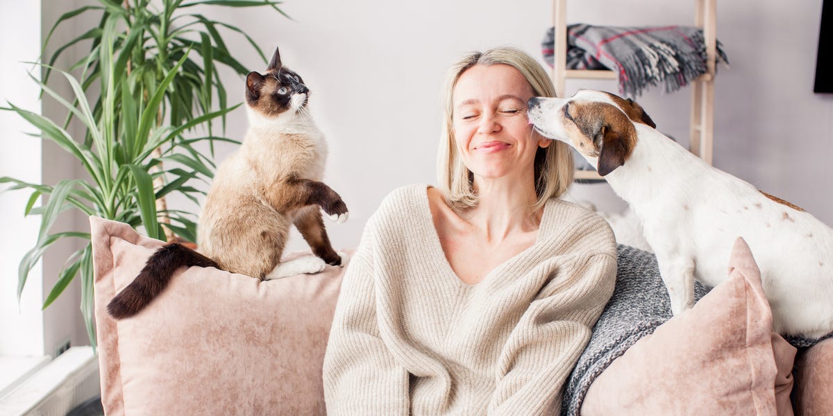 happy woman playing with her dog on the couch at home