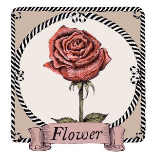 Pink, Rose, Garden roses, Postage stamp, Plant, Flower, Hybrid tea rose, Illustration, Rose family, 