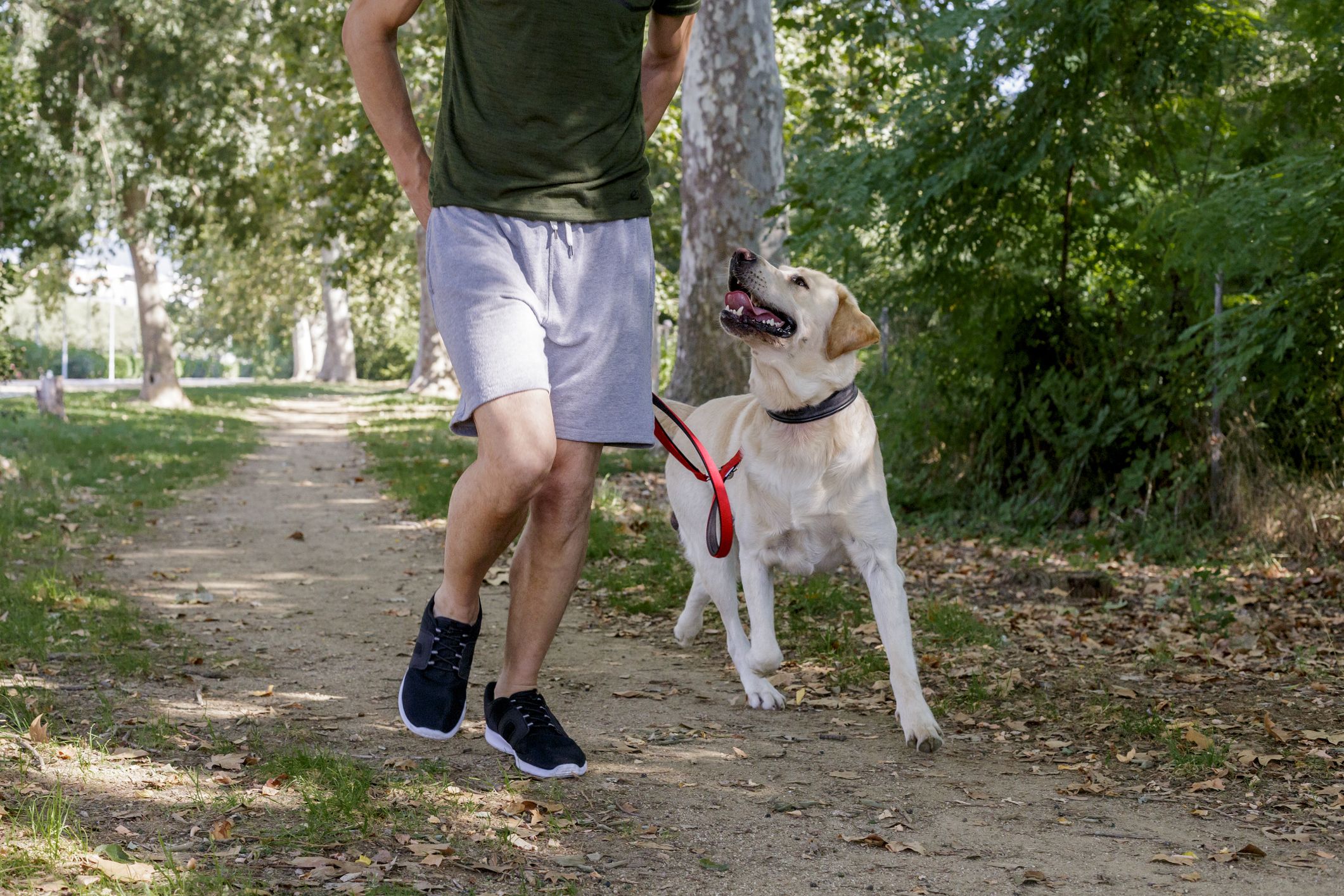 Hardlopen met je hond: 5 redenen dat een goed idee is