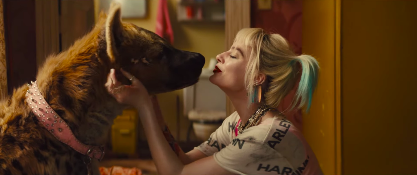 Harley Quinn cheekily nods to Batman in new Birds of Prey trailer