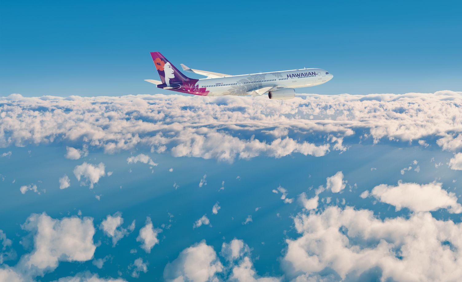 ハワイアン航空 HAWAIIAN AIRLINES お皿 2枚 希少 ハワイ好き